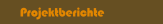 Projektberichte
